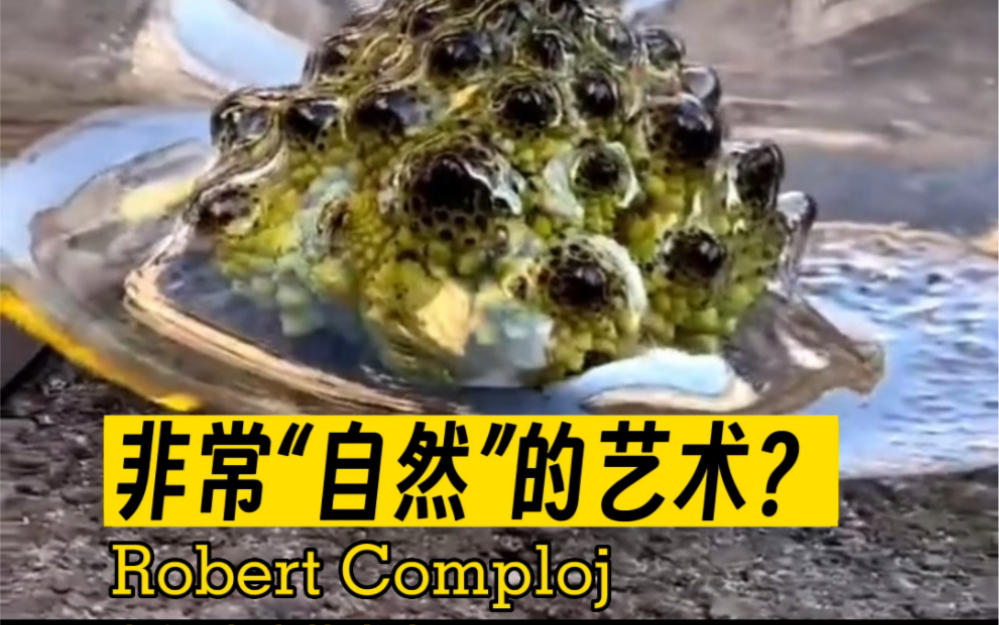 非常“自然”的艺术?Robert Comploj 当代玻璃艺术家哔哩哔哩bilibili