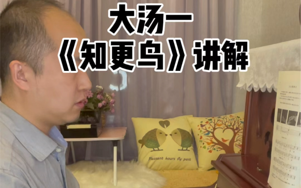 大汤一知更鸟讲解落提