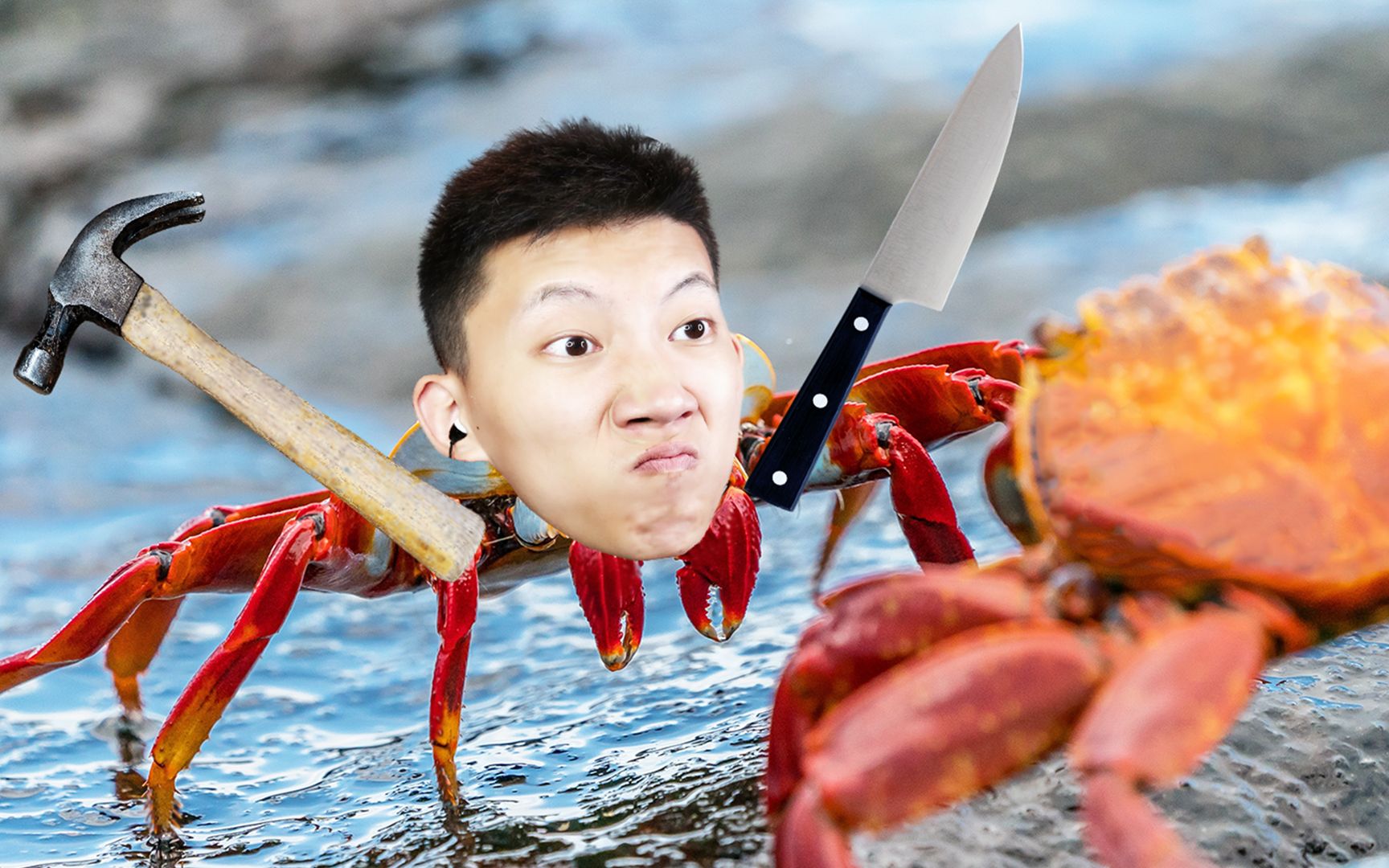 [视频类型] 单机游戏[视频标签] 全能沙雕,搞笑,鲤鱼ace,鲤鱼解说