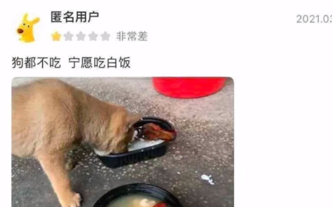 美团上的神仙评论哔哩哔哩bilibili