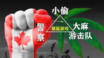 双语 加拿大大麻合法化大麻利弊了解下 阿尔法小分队科教组 哔哩哔哩 Bilibili