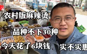 下载视频: 农村版麻辣烫，品种不下30种，今天花了6块钱，实不实惠