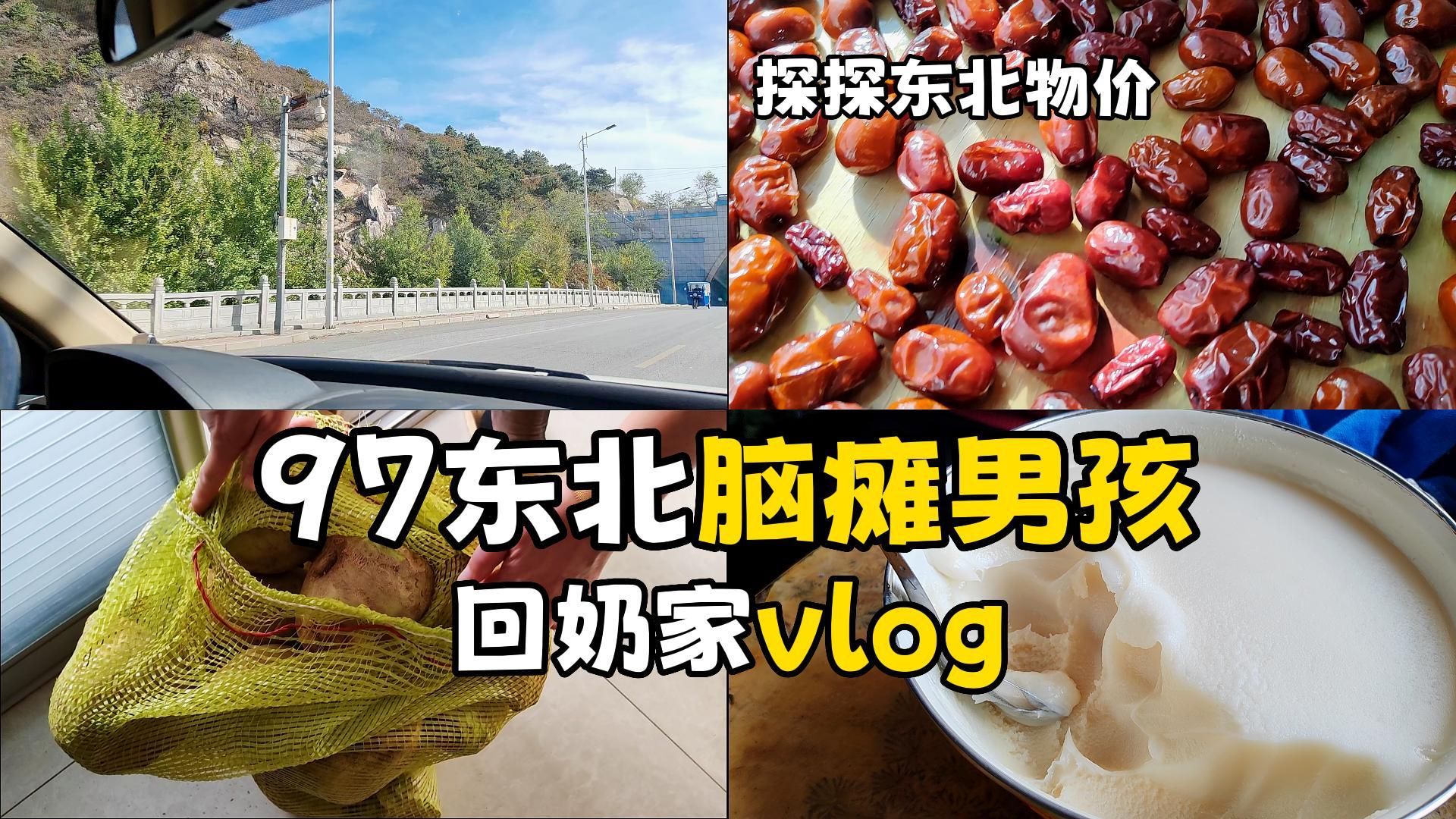 鑫洋回奶家vlog来了,带你们看看我们大东北的物价哔哩哔哩bilibili