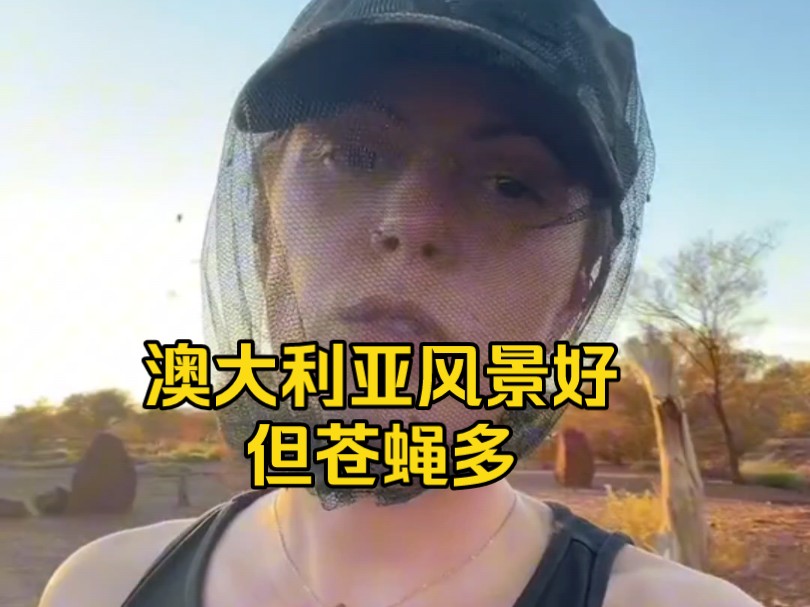 [TikTok]博主提醒想要来澳大利亚旅游的人,这里的苍蝇让你根本没法休息哔哩哔哩bilibili