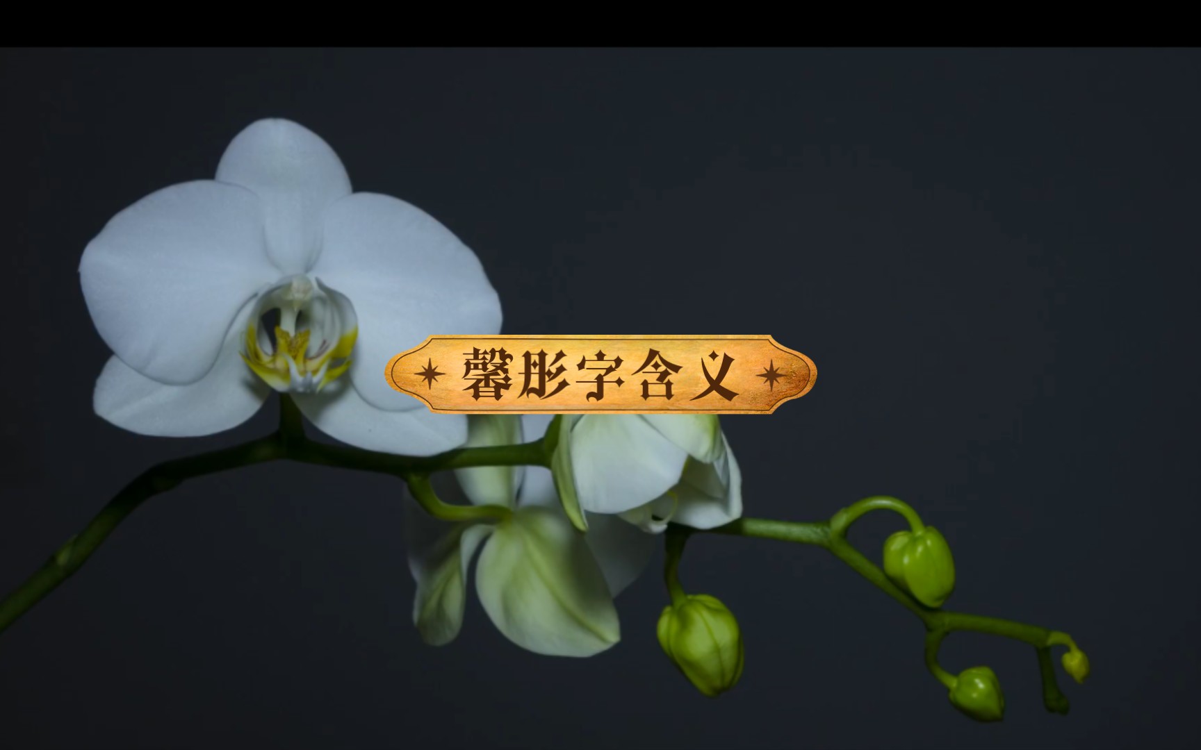 馨彤字含义哔哩哔哩bilibili