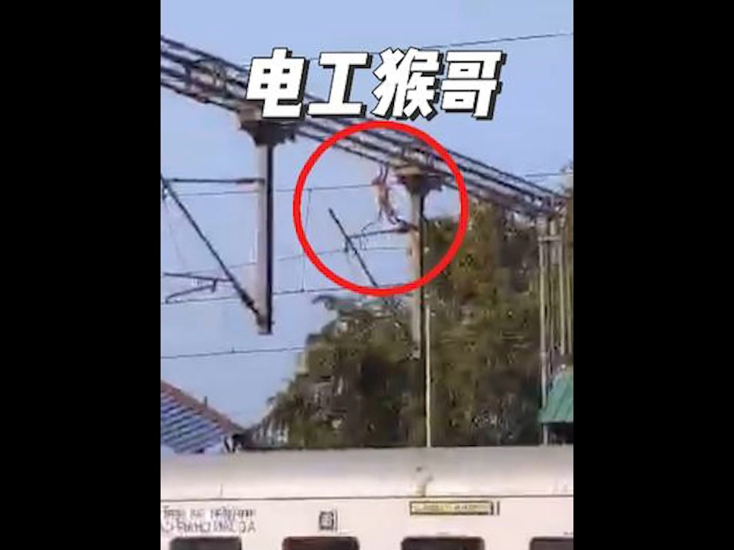 电工猴哥修电线被电