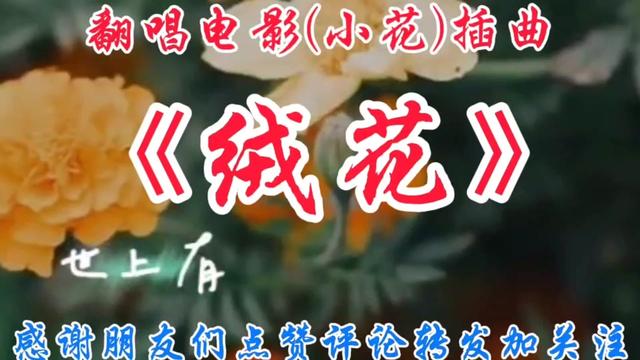 我翻唱电影(小花)插曲《绒花》