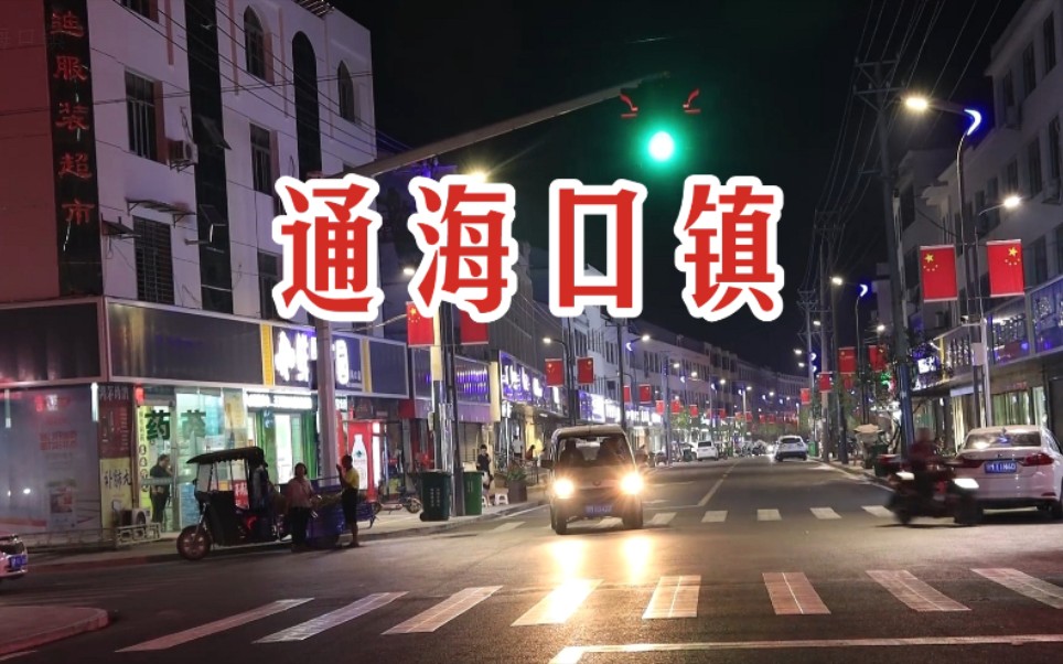 【时光记录】通海口镇 街道街景 夜景海景 向阳 陈闸 新街 熊庙 湖北仙桃城镇新景象哔哩哔哩bilibili