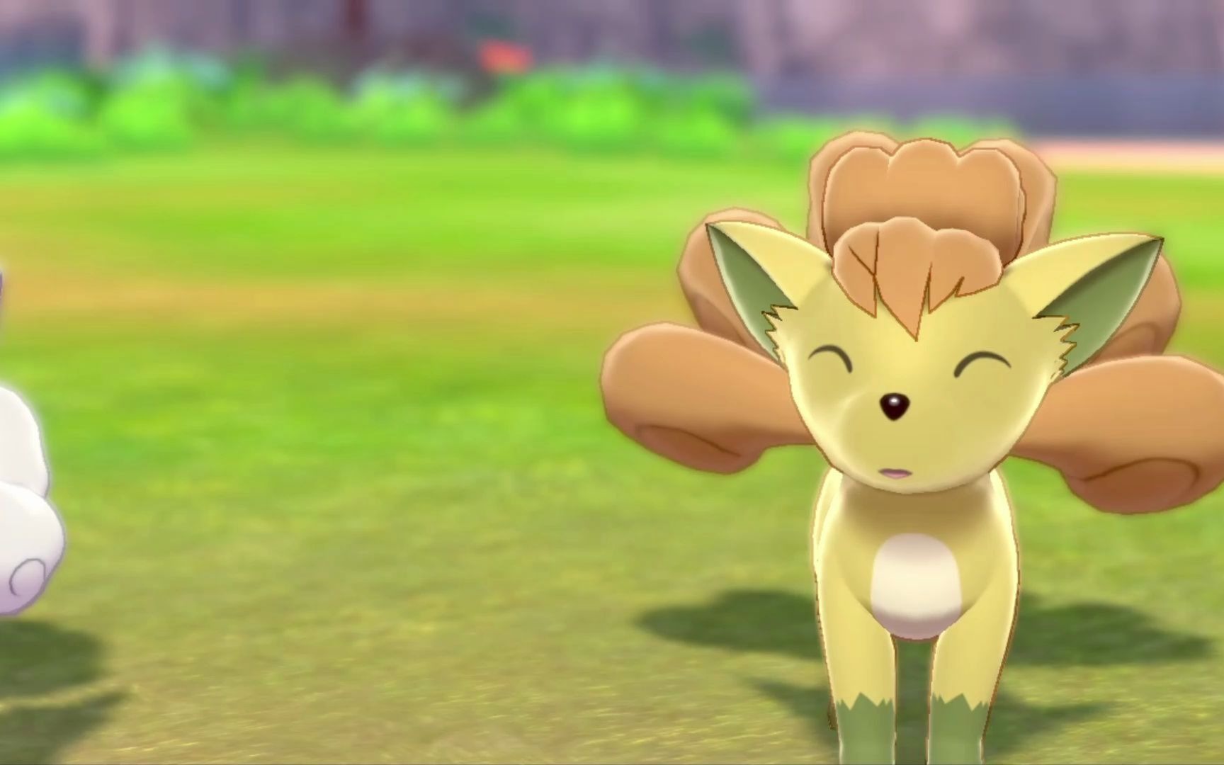 六尾&阿罗拉六尾_哔哩哔哩 (゜-゜)つロ 干杯~-bilibili