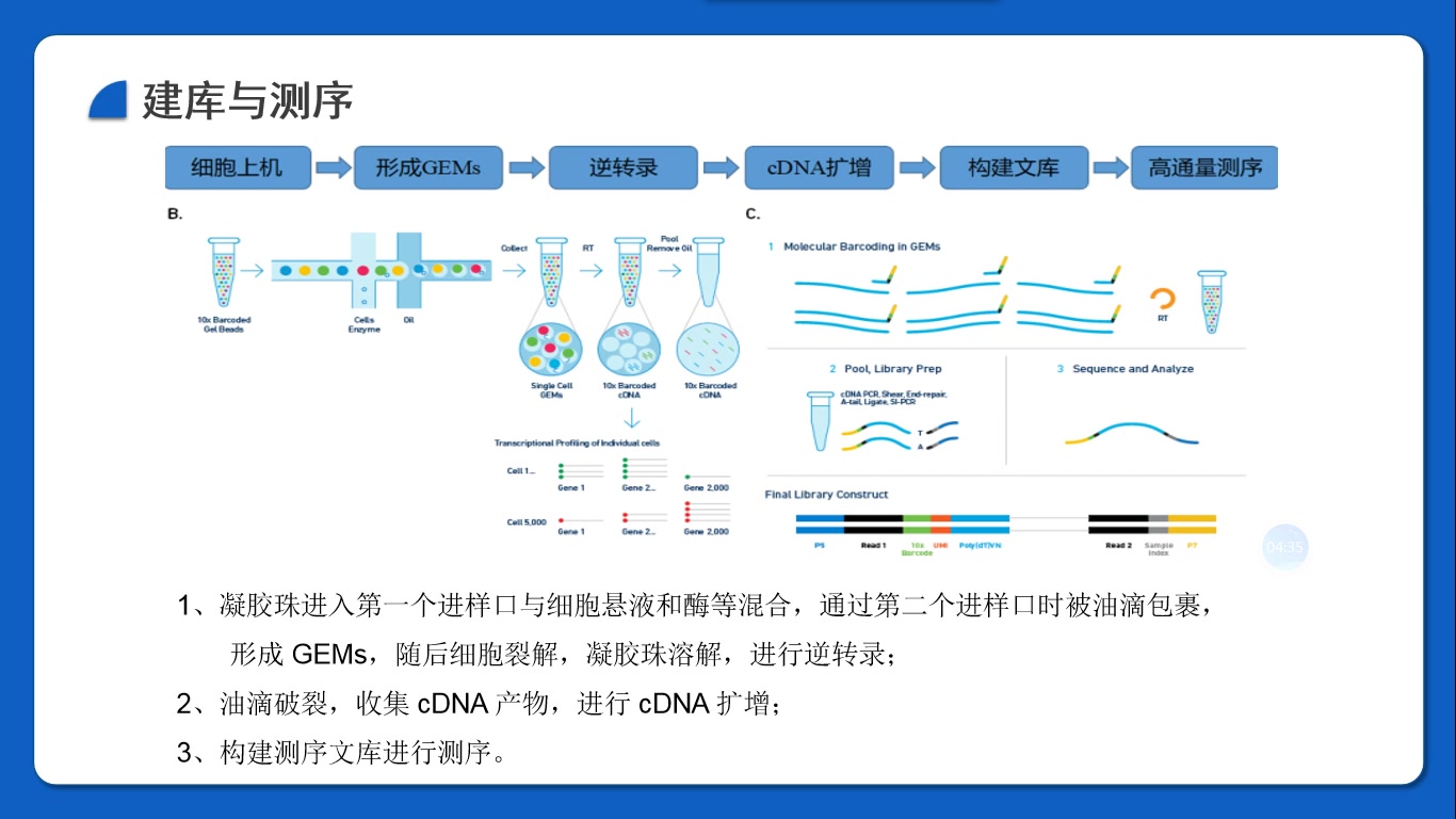 单细胞转录组测序流程及注意事项哔哩哔哩bilibili