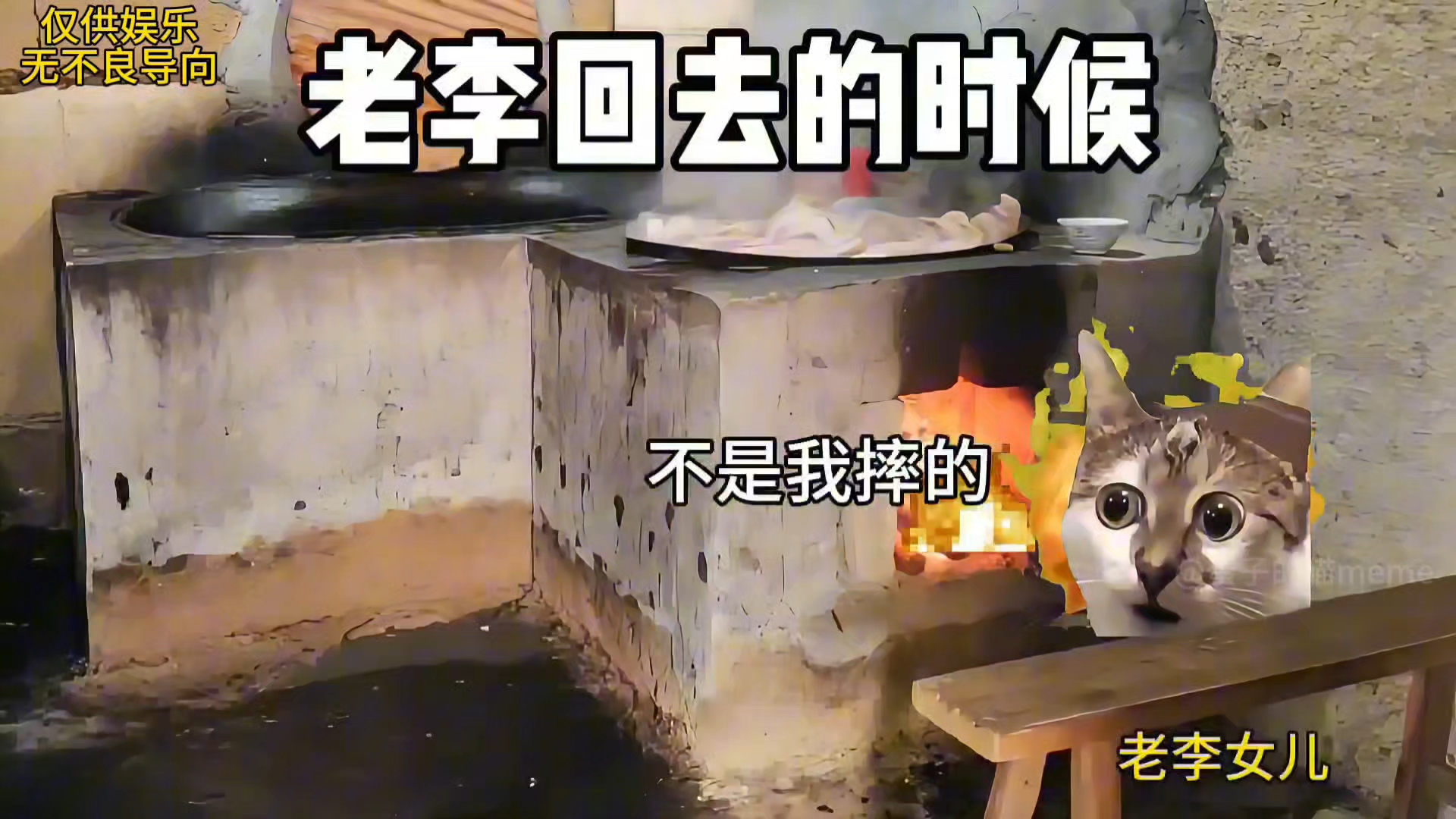 小时候爱去别人家睡(与流浪狗斗智斗勇81)-蛋子的猫meme-蛋子的猫meme-哔哩哔哩视频
