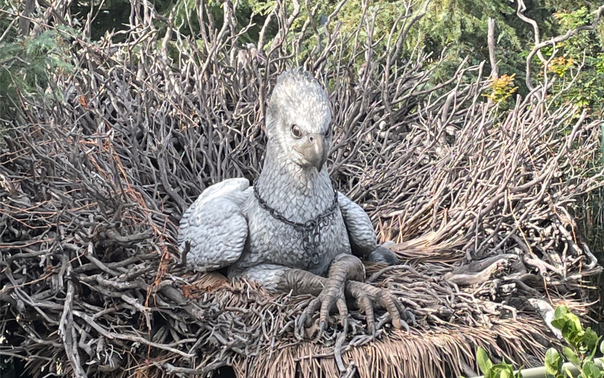 加州环球之鹰马飞行