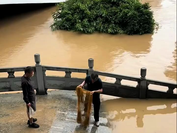 涨水后男子在桥上撒网捕鱼,欢呼声中居然真捕到了大鱼.哔哩哔哩bilibili