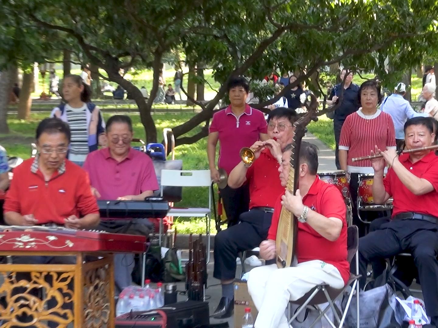 [图]乐器演奏《刘老根大舞台开场曲》，北京天坛琴之声乐队