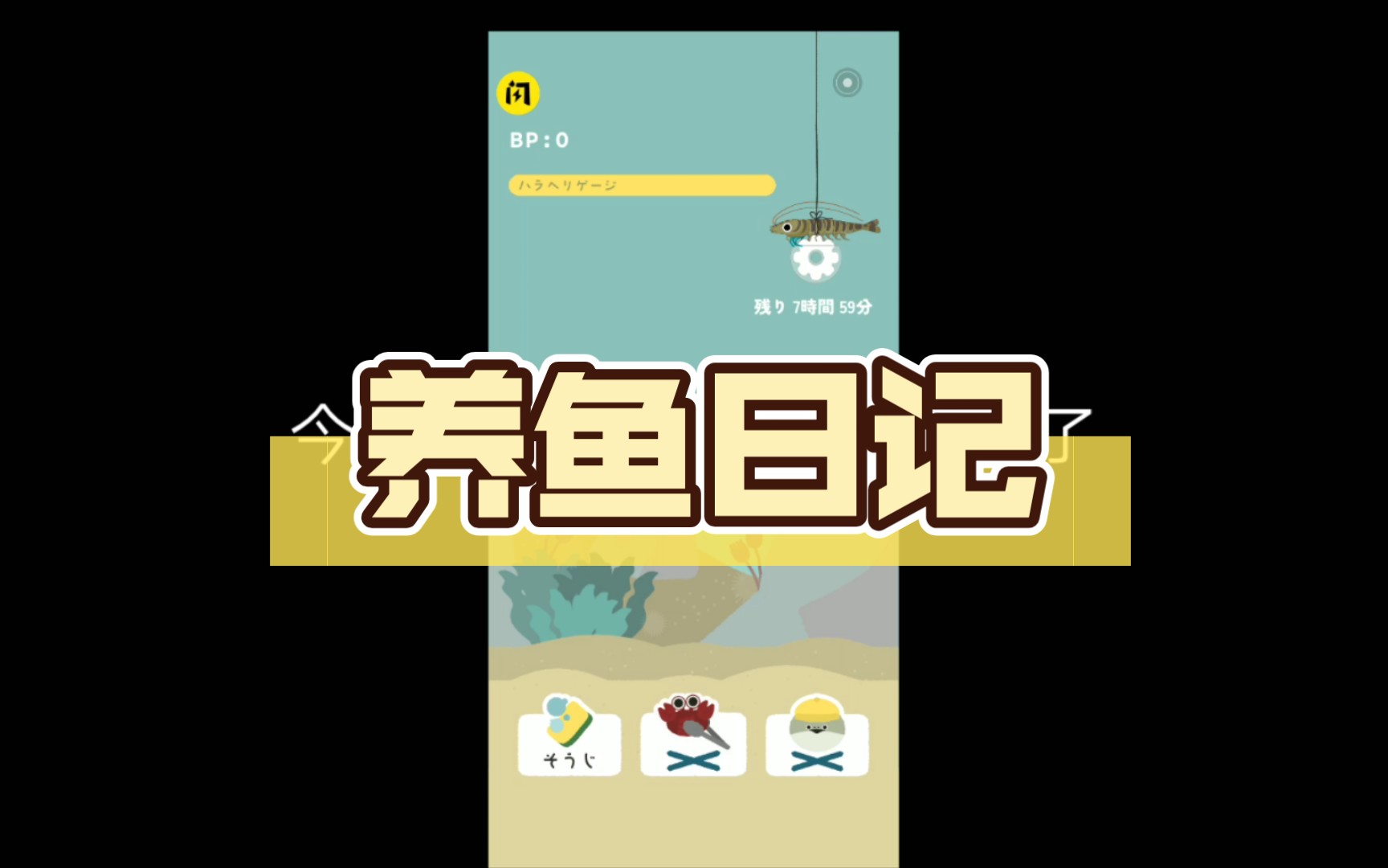 养鱼日记【1】哔哩哔哩bilibili