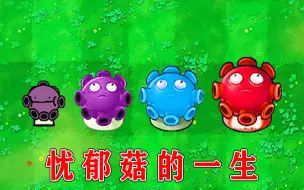 Download Video: 植物大战僵尸：忧郁蘑菇的成长史！