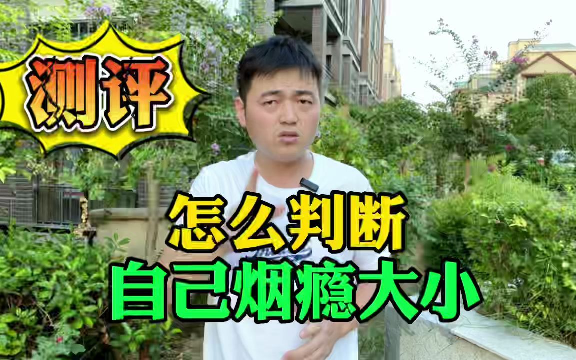 怎么判断自己烟瘾大小?哔哩哔哩bilibili