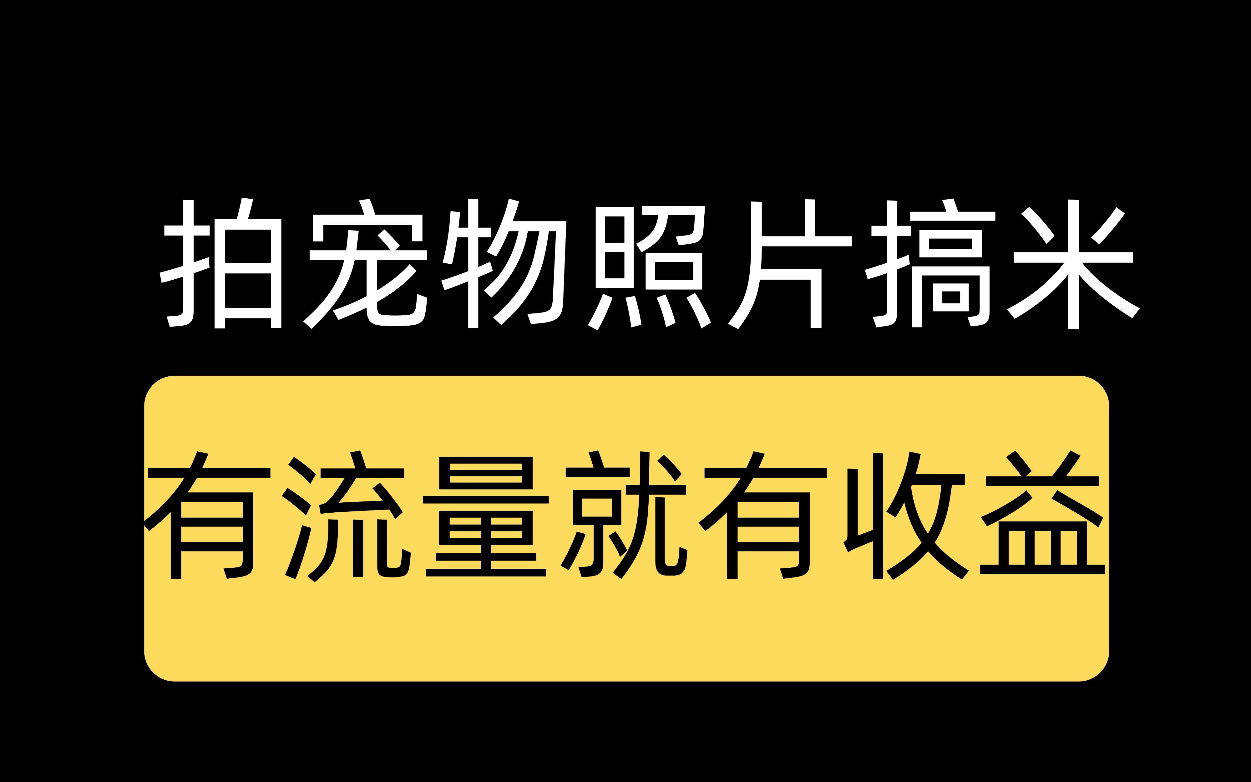 拍宠物照片搞米,有流量就有收益,无脑操作哔哩哔哩bilibili