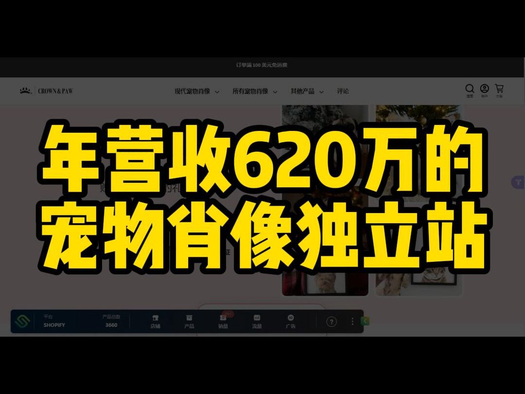 年营收620万的宠物肖像独立站哔哩哔哩bilibili