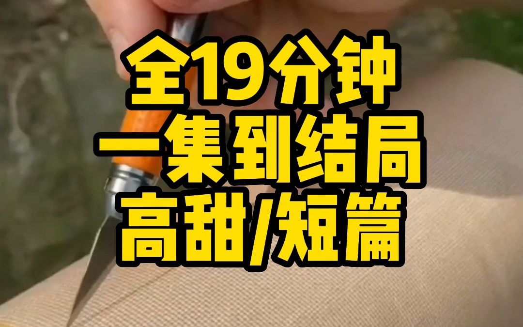 【全文已更完】甜文抓紧看~“新来的公司老板竟然是我网恋对象!”哔哩哔哩bilibili