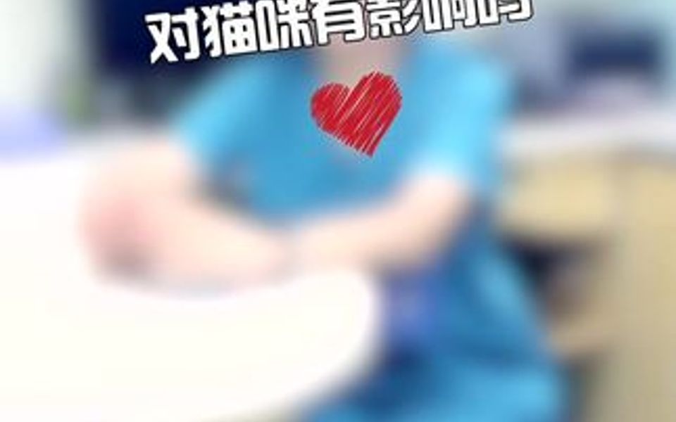 点蚊香对猫咪有影响吗哔哩哔哩bilibili