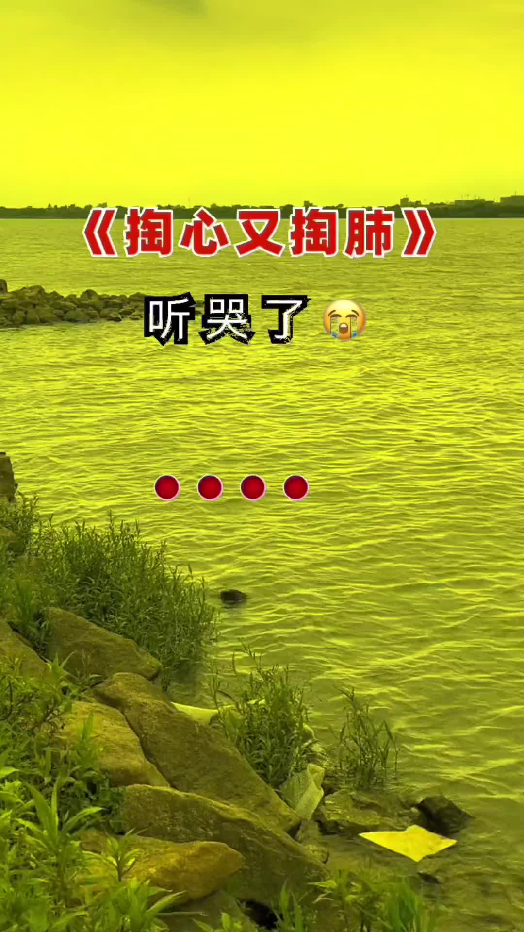 掏心又掏肺伤感音乐经典老歌百听不厌