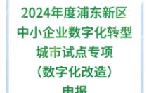 关于开展2024年度浦东新区中小企业数字化转型城市试点专项(数字化改造)申报工作的通知哔哩哔哩bilibili