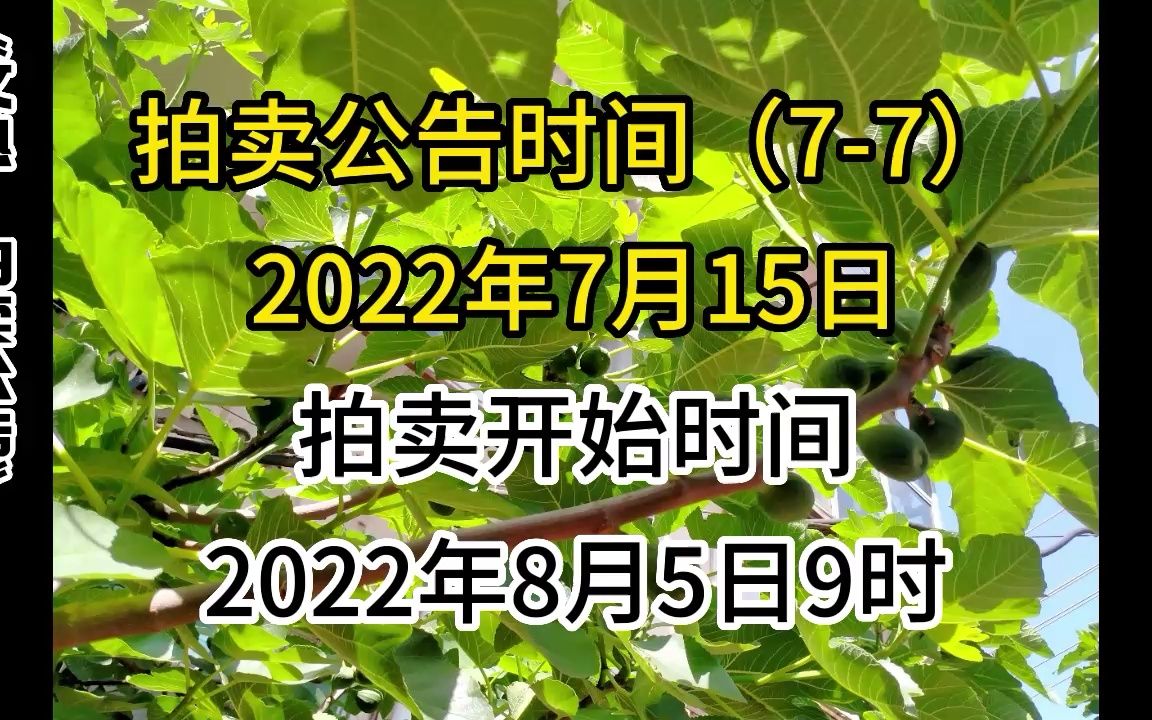 2022年7月15日哈尔滨拍卖公告“文熟”(77)哔哩哔哩bilibili