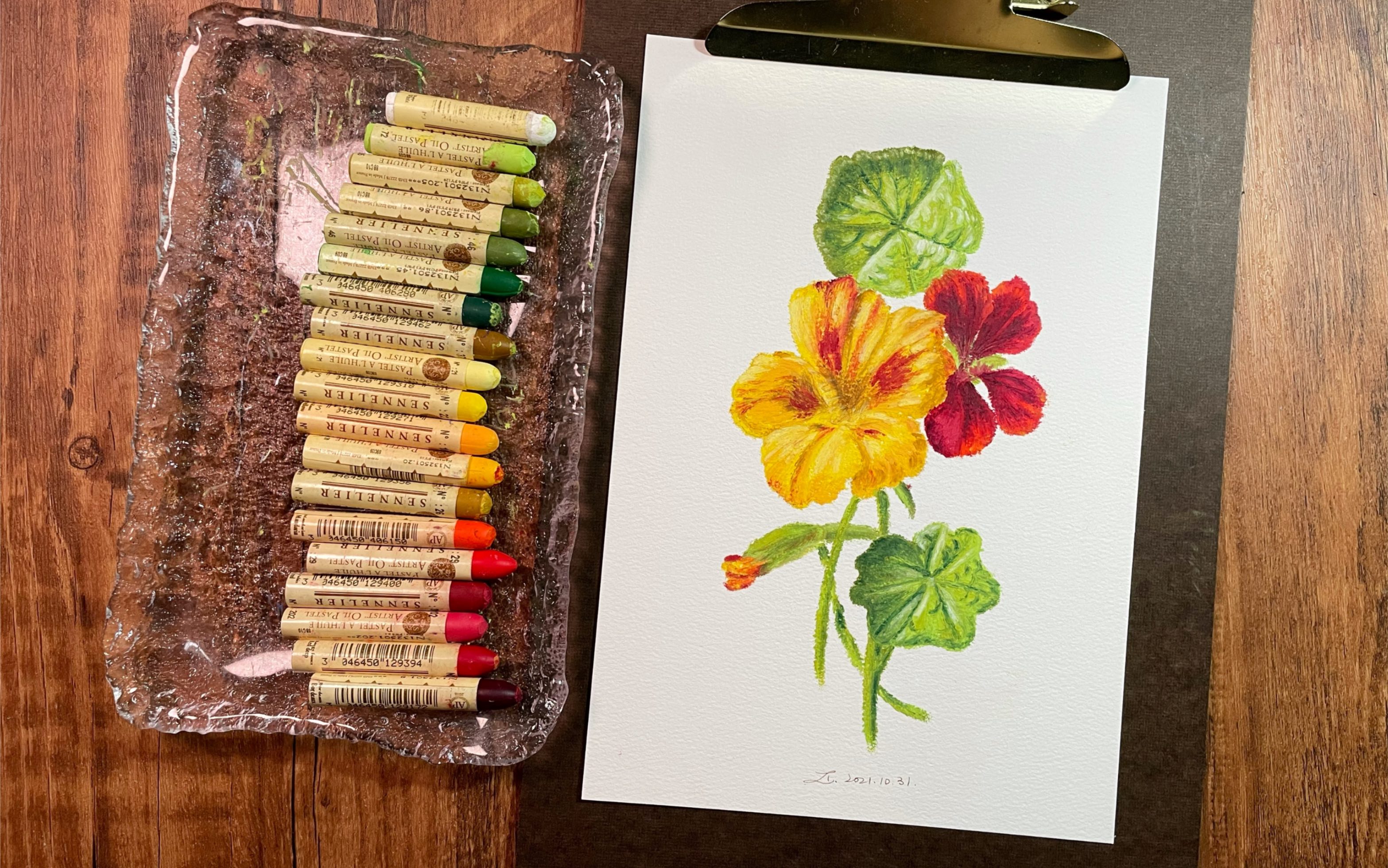 油画棒|来画花呀(2)旱金莲|申内利尔油画棒|花卉植物