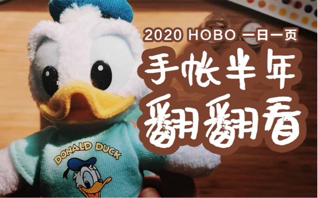 【手帐翻翻看#01】新手向|第一本手帐|2020 hobo一日一页哔哩哔哩bilibili