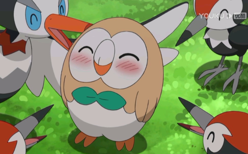 盘点日月萌神木木枭的可爱合集