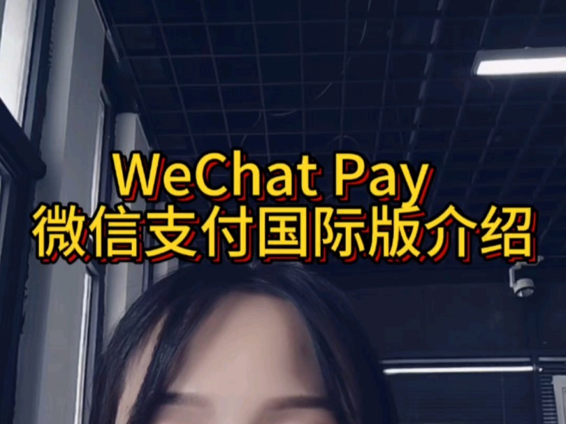 WeChat Pay 微信支付国际版介绍哔哩哔哩bilibili