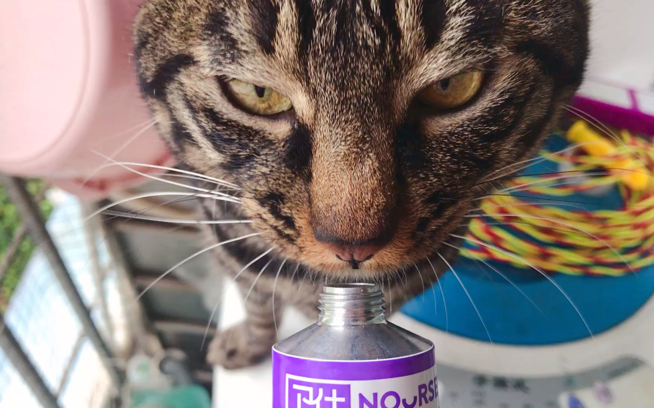 一脸冷漠舔牙膏