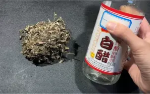 Tải video: 艾草加白醋，作用太厉害了，帮助了很多中老年人， 以后再也不怕刮风下雨了，几十年的老寒腿也好啦