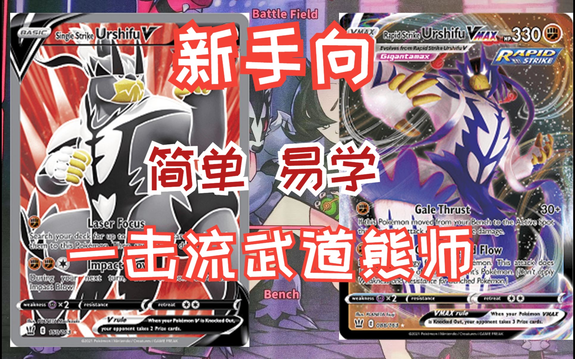 【第三维度】新手向 PTCG 一击流武道熊师构筑桌游棋牌热门视频