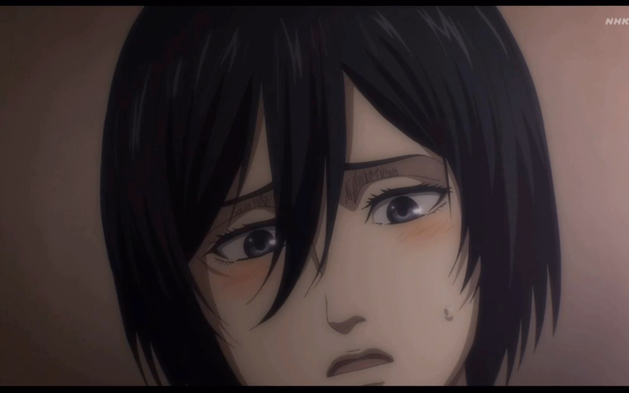 【进击的巨人最终季】三笠的印记_哔哩哔哩 (゜-゜)つロ 干杯~-bili