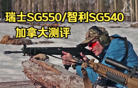 【中字】瑞士军工SG550/FAMAE SG540民版半自动步枪测评(TFB)哔哩哔哩bilibili