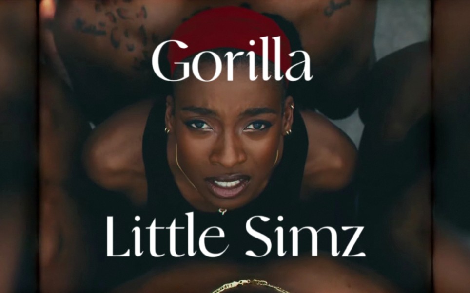 [图]【Little Simz】Gorilla｜Official Video