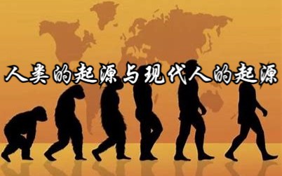 《人类的起源与现代人的起源》吉林大学 朱泓哔哩哔哩bilibili