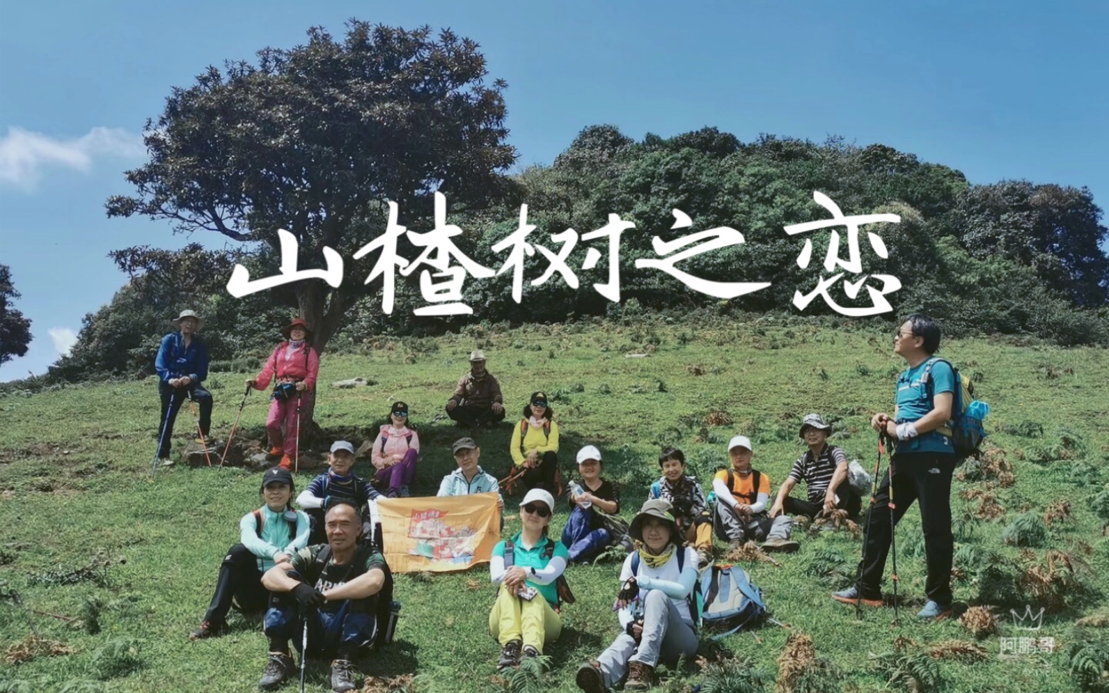 《山楂树之恋》拍摄地:玉溪高鲁山上的山楂树和马樱花树,艰难跋涉四个小时终于抵达网红打卡地哔哩哔哩bilibili