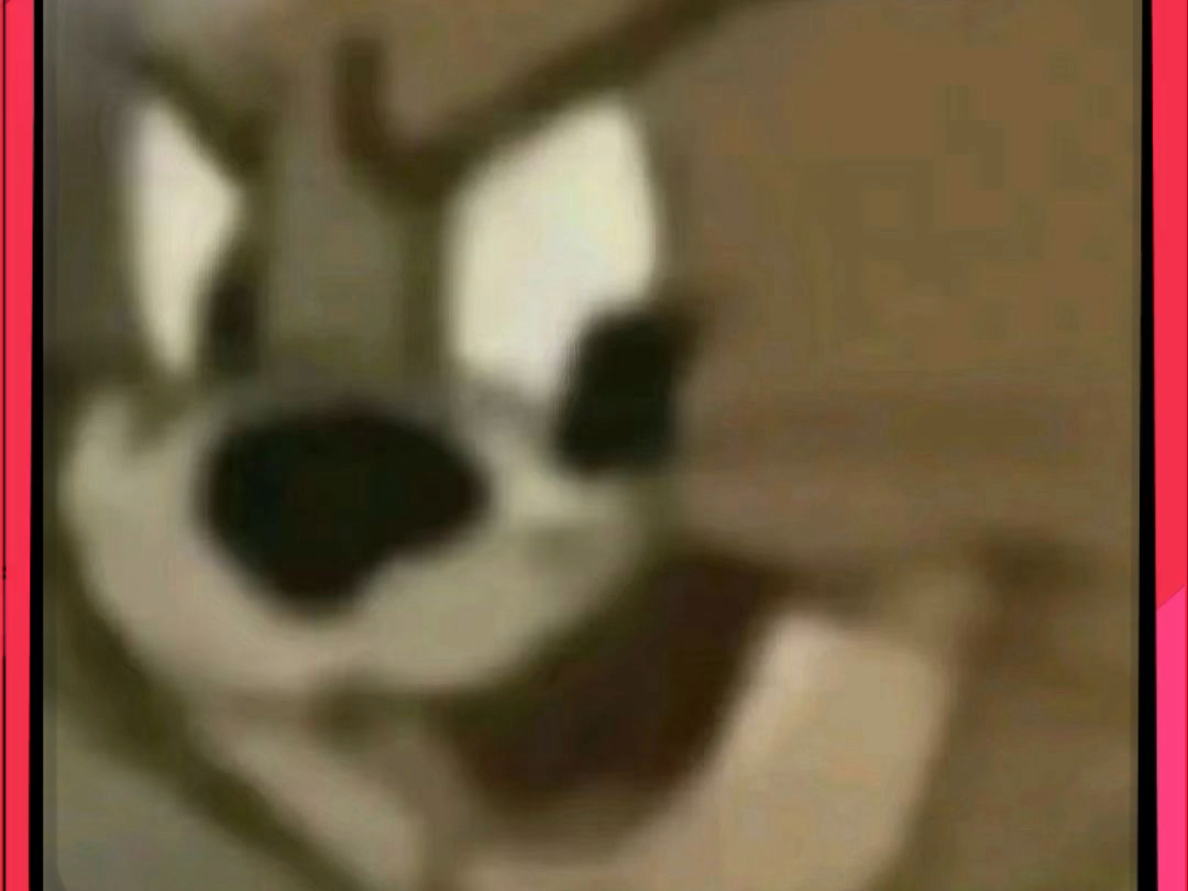 米饭依旧一小碗