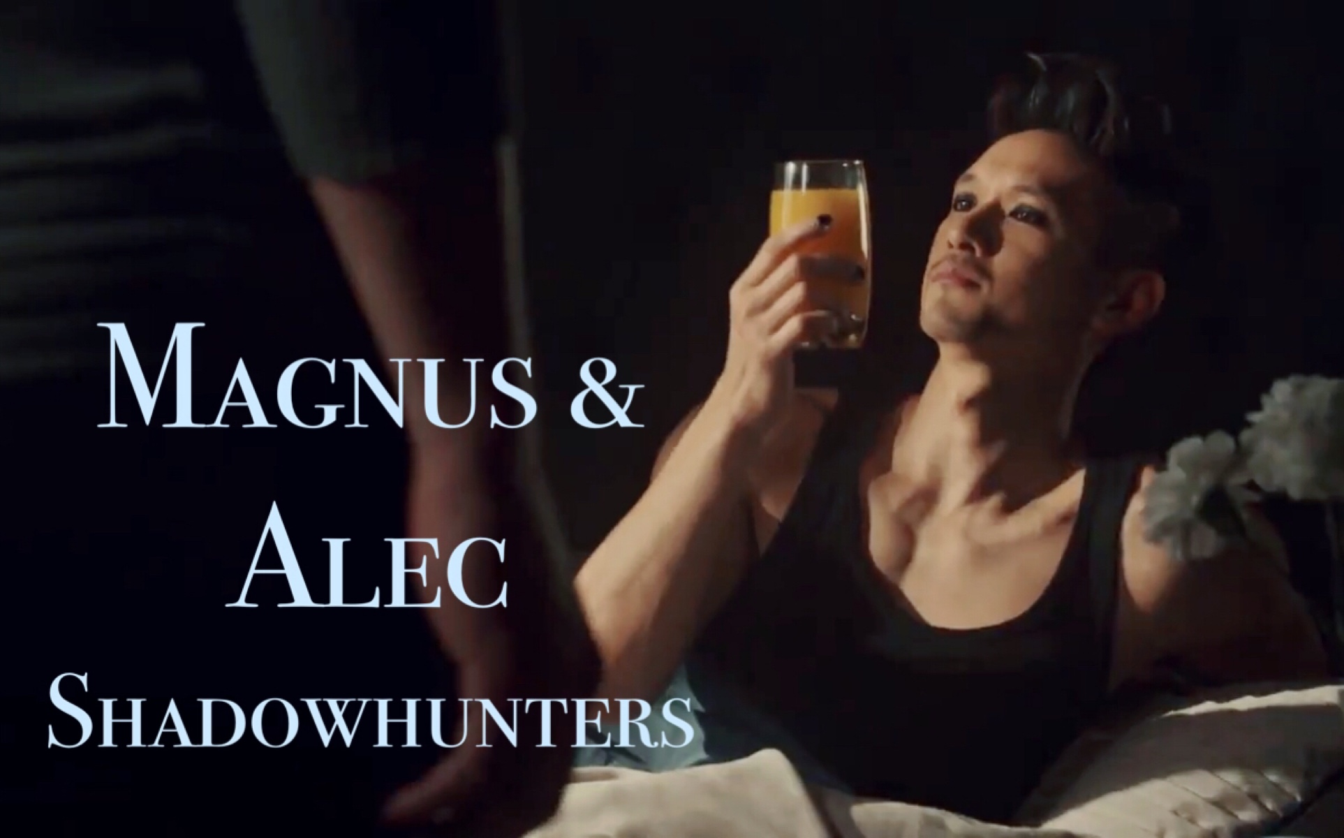 美剧暗影猎人暗影猎人第三季第十五集magnusalec剪辑