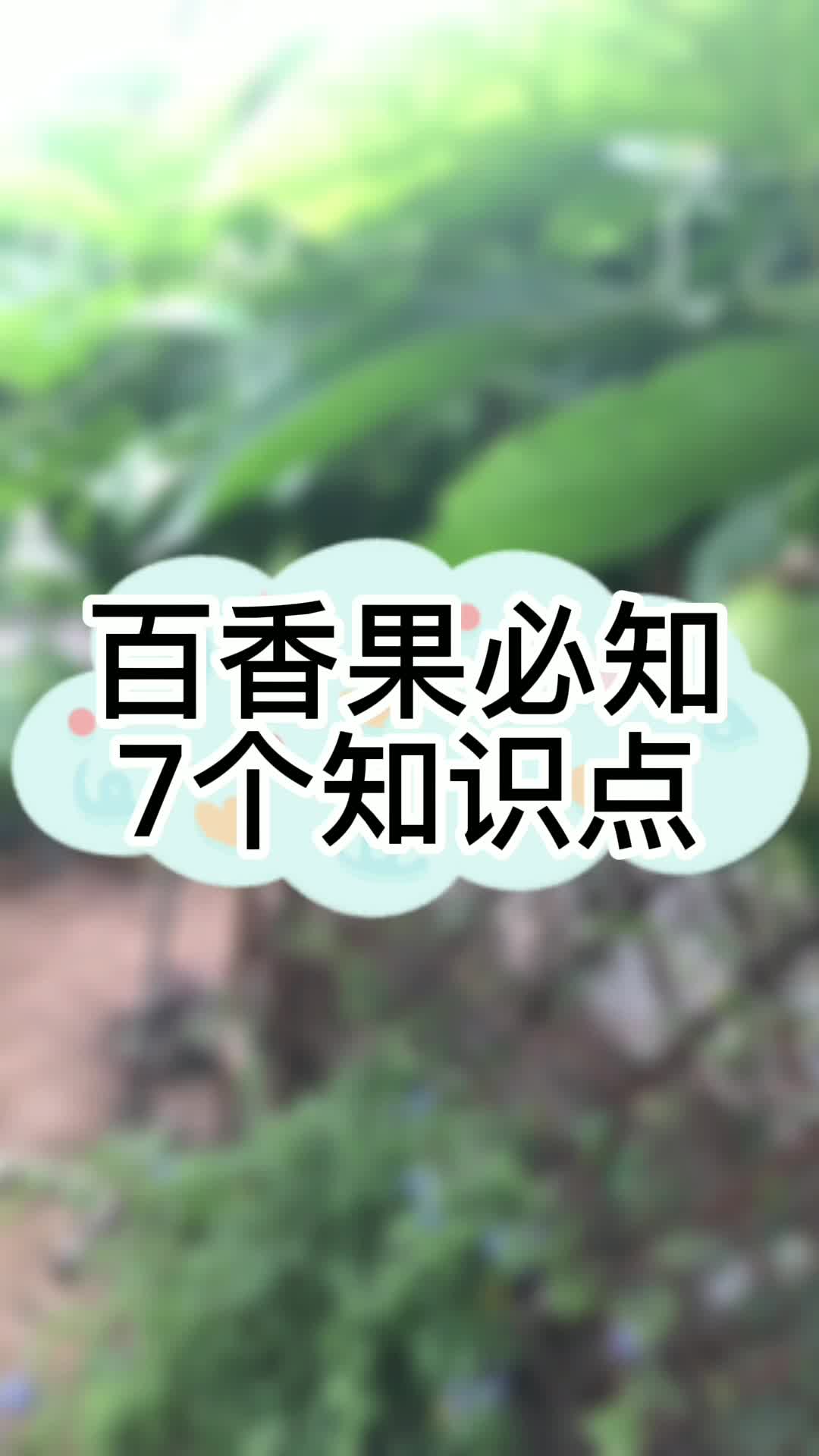 百香果是集一百种香味的水果,营养价值高哔哩哔哩bilibili