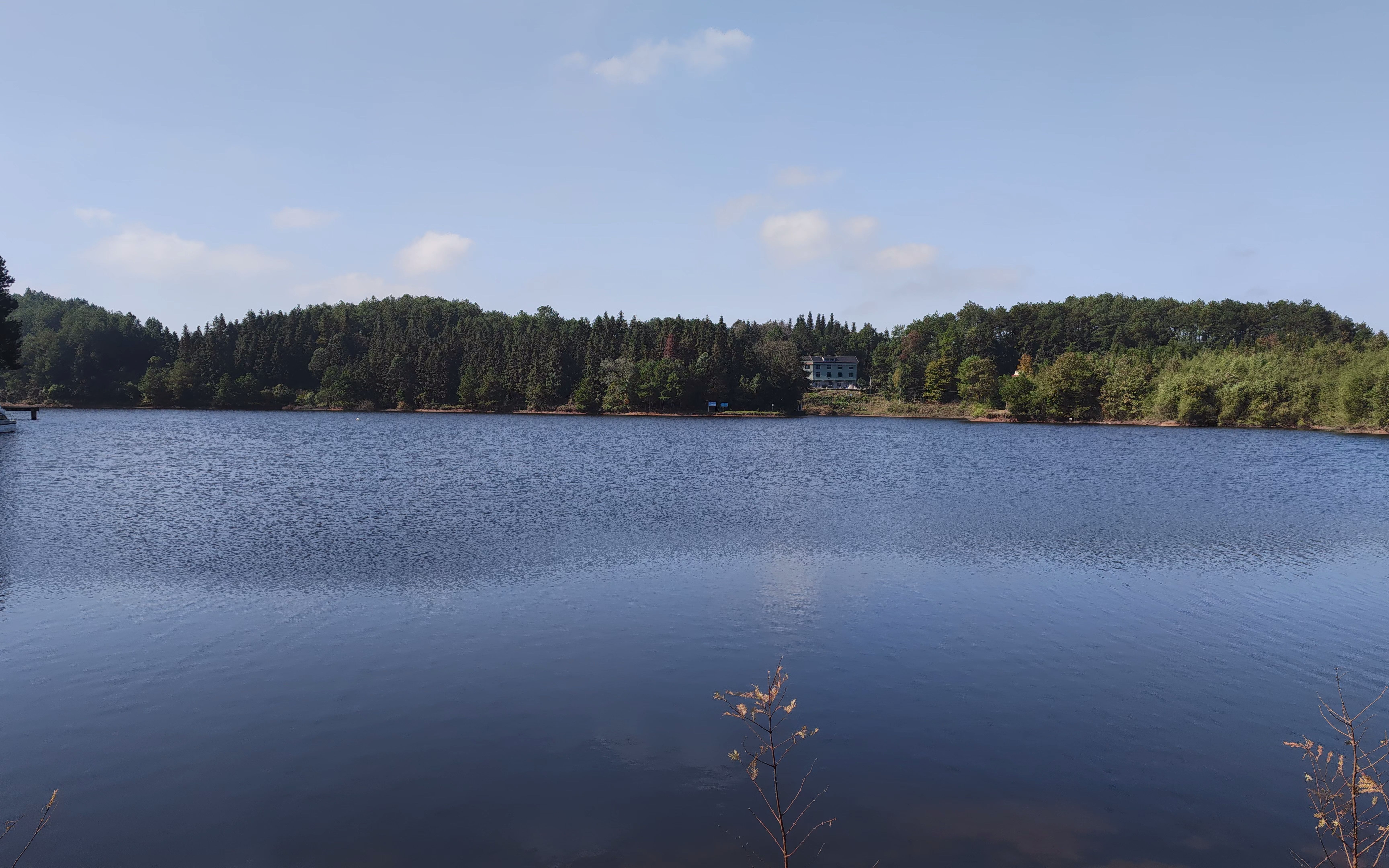 小米11 黎香湖 8k