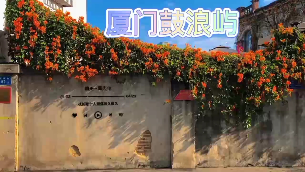 来厦门鼓浪屿一定要打卡的晴天墙浪漫的厦门浪漫的炮仗花