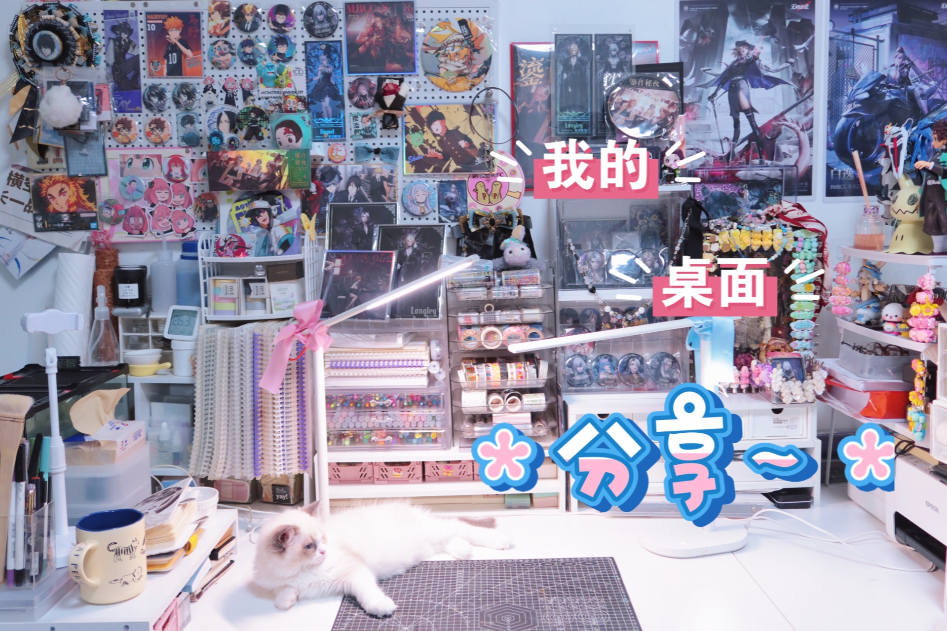 【手帐er桌面大公开】一个p人的桌面(含树蛙,睫角)