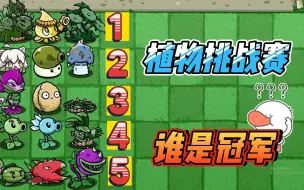 Download Video: 植物大战僵尸：植物挑战赛开赛！冠军花落谁家？