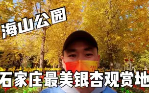 Télécharger la video: 打卡石家庄最美银杏观赏地，鹿泉海山公园，黄金大道上全是拍照人！