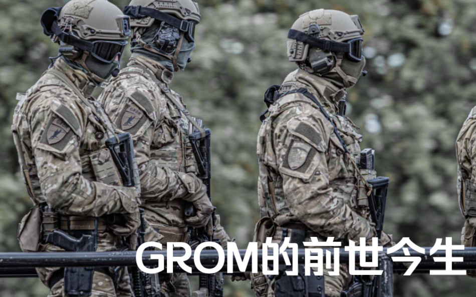 【搬运】东欧最强特战单位—GROM的前世今生哔哩哔哩bilibili