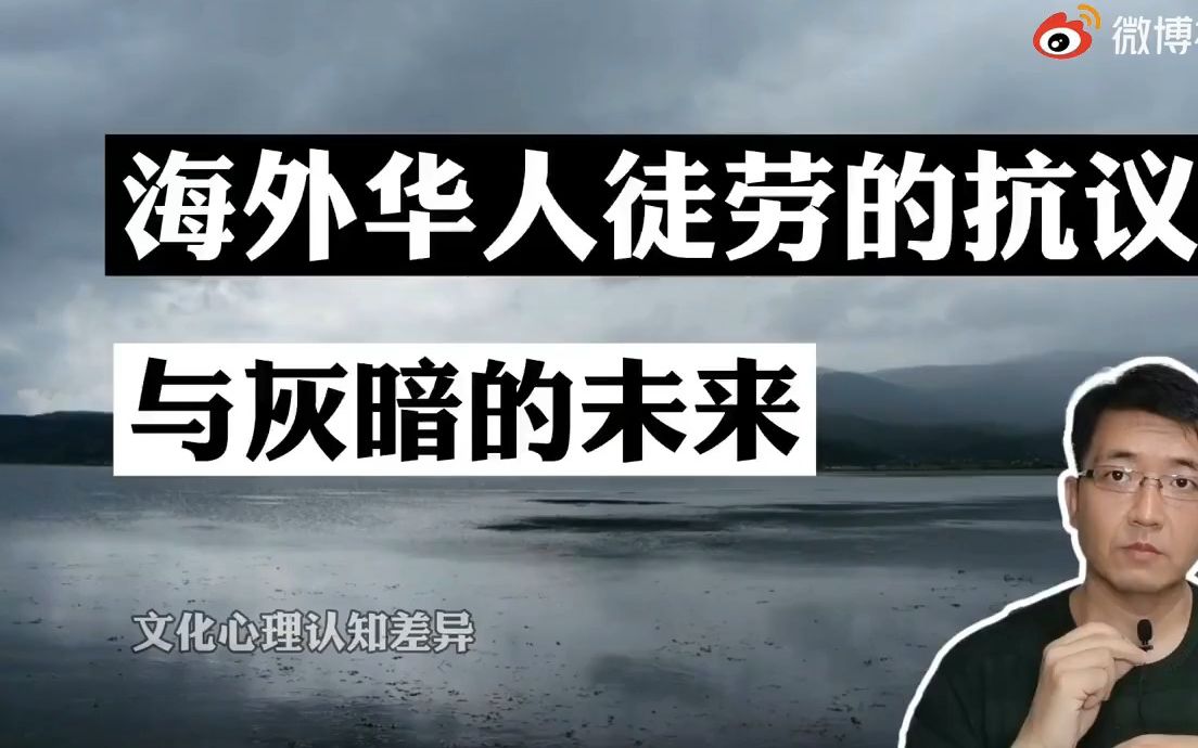 E46心医林霖 搞笑预言:海外华人徒劳的抗议与灰暗的未来 文化心理认知差异 华裔 亚裔 中文媒体 辱华 电子宠物 狗粮 美式民主 种族对立 黑帮暴力老墨黑命...